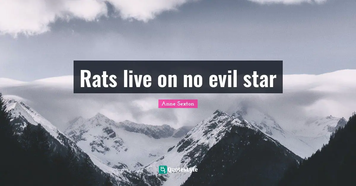 Rats live on no evil star
