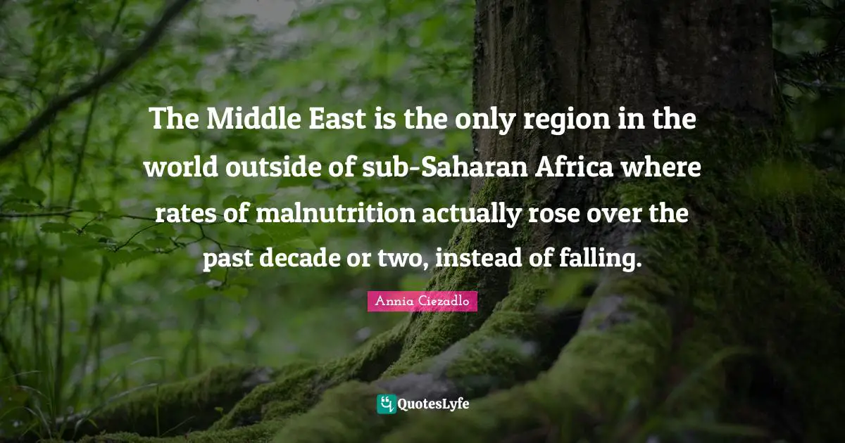 The Middle East is the only region in the world outside of sub-Saharan Africa where rates of malnutrition actually rose over the past decade or two, instead of falling.