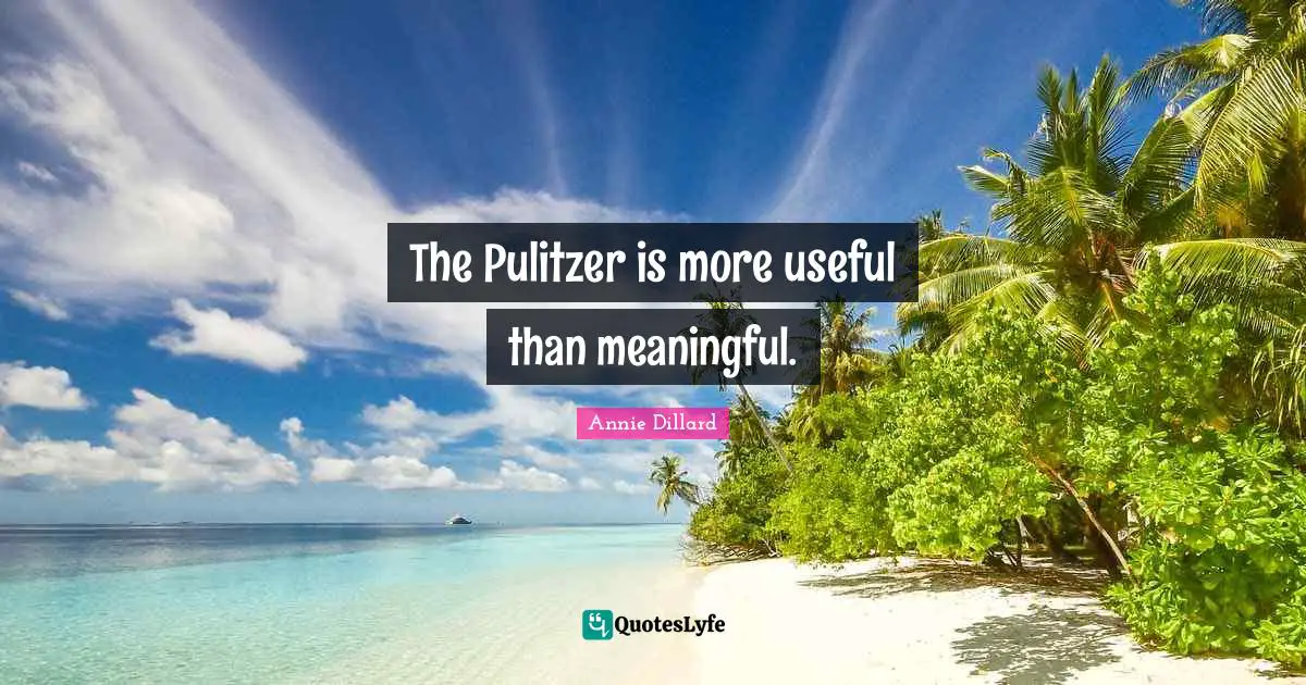 The Pulitzer is more useful than meaningful.