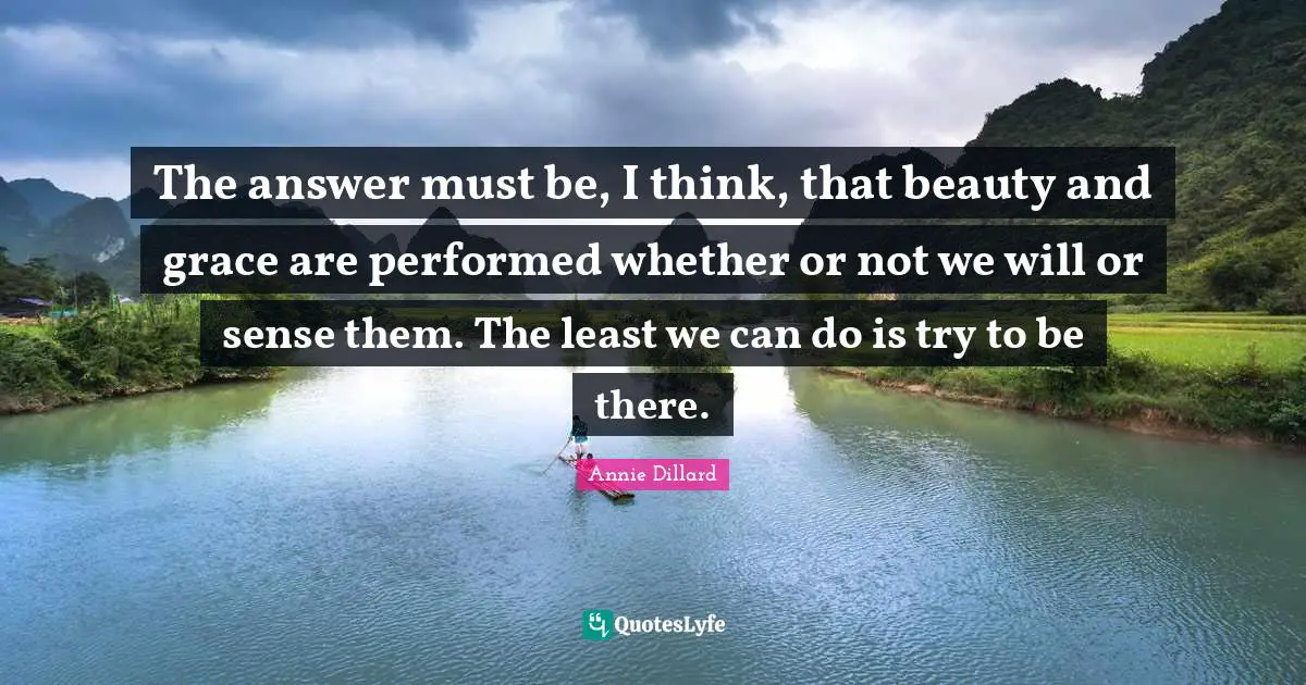 The answer must be, I think, that beauty and grace are performed whether or not we will or sense them. The least we can do is try to be there.