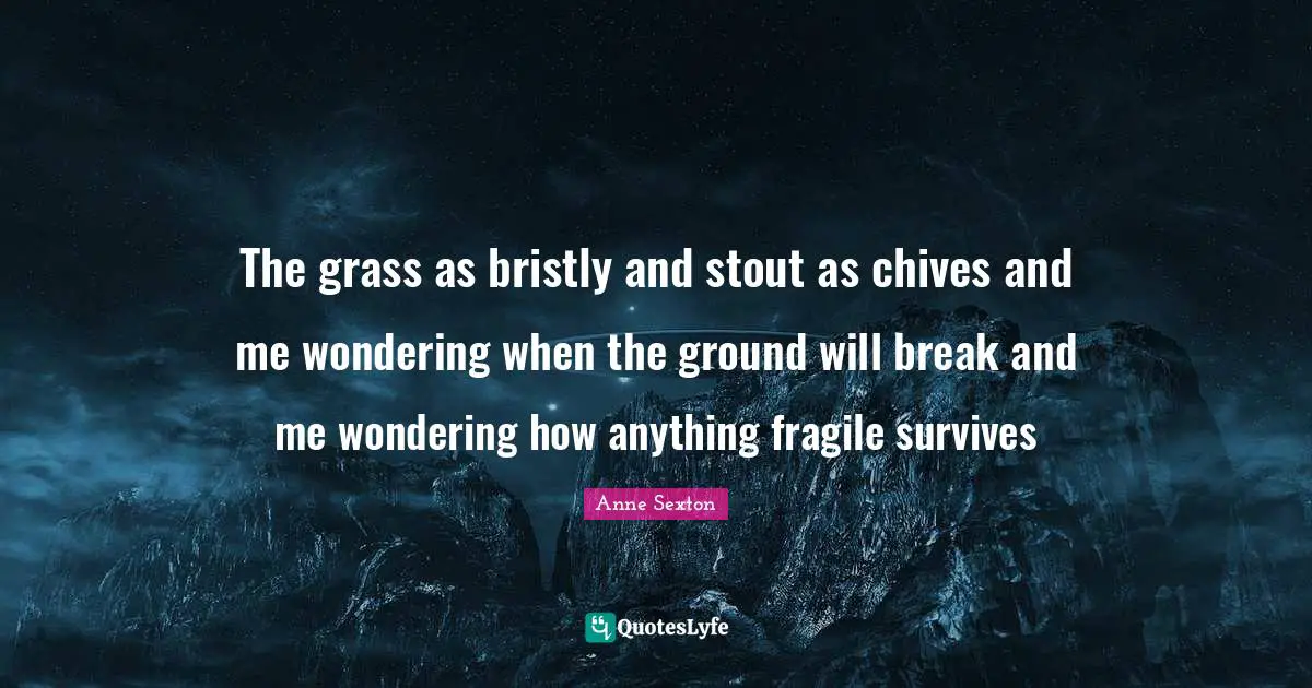 Stout Quotes: "The grass as bristly and stout as chives and me wondering when the ground will break and me wondering how anything fragile survives"