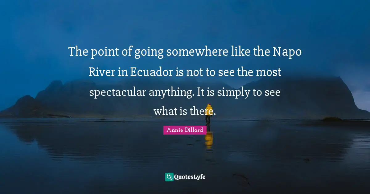 The point of going somewhere like the Napo River in Ecuador is not to see the most spectacular anything. It is simply to see what is there.