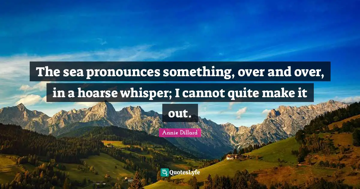 The sea pronounces something, over and over, in a hoarse whisper; I cannot quite make it out.