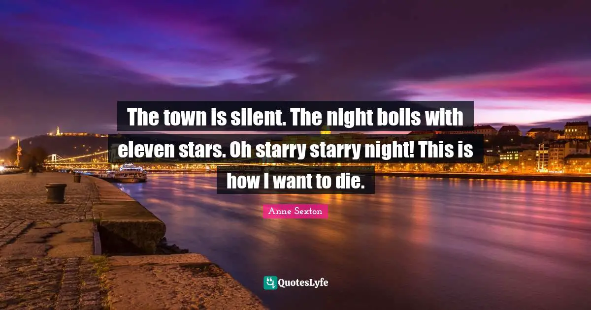 The town is silent. The night boils with eleven stars. Oh starry starry night! This is how I want to die.