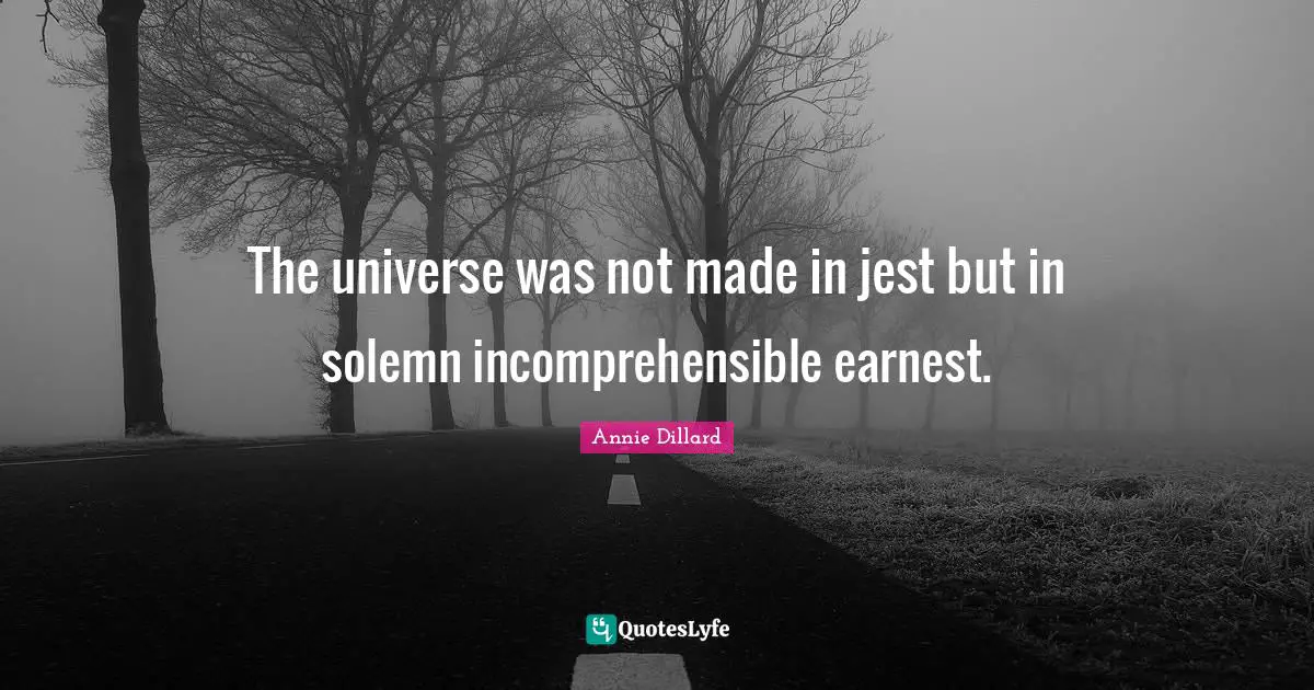 The universe was not made in jest but in solemn incomprehensible earnest.