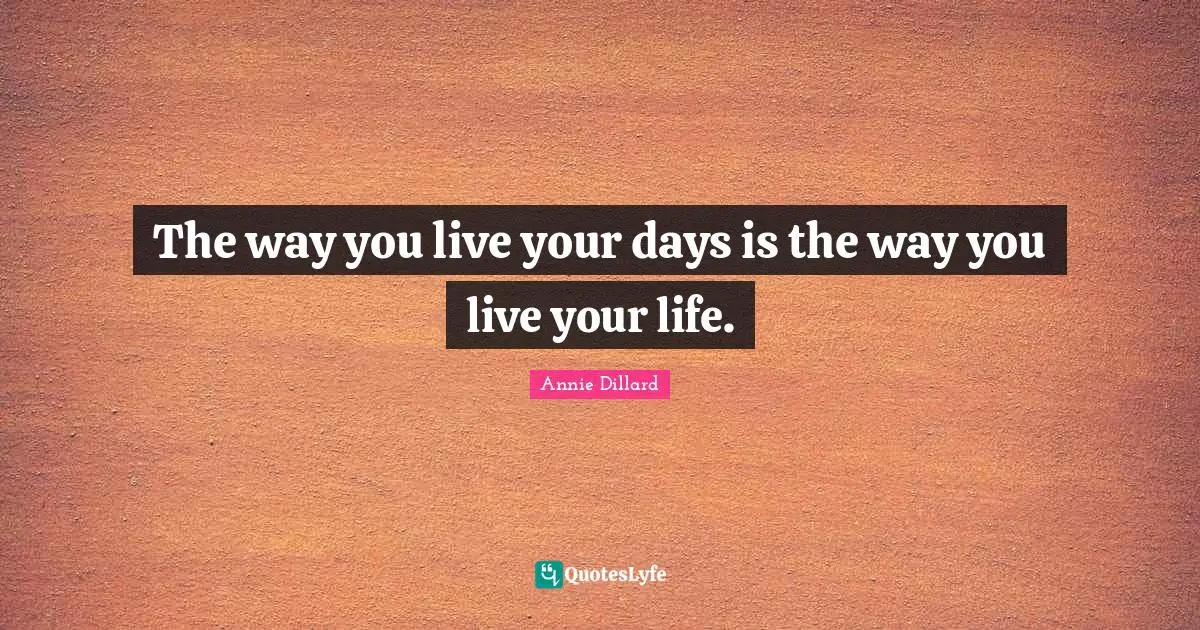 The way you live your days is the way you live your life.
