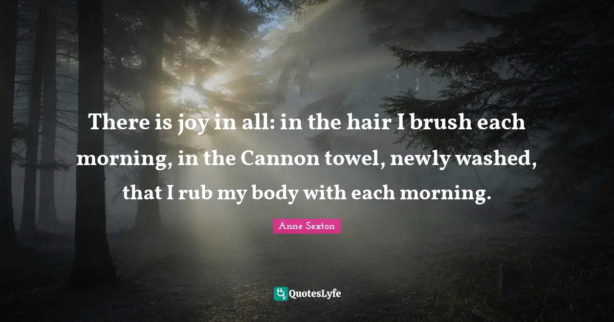 There is joy in all: in the hair I brush each morning, in the Cannon towel, newly washed, that I rub my body with each morning.