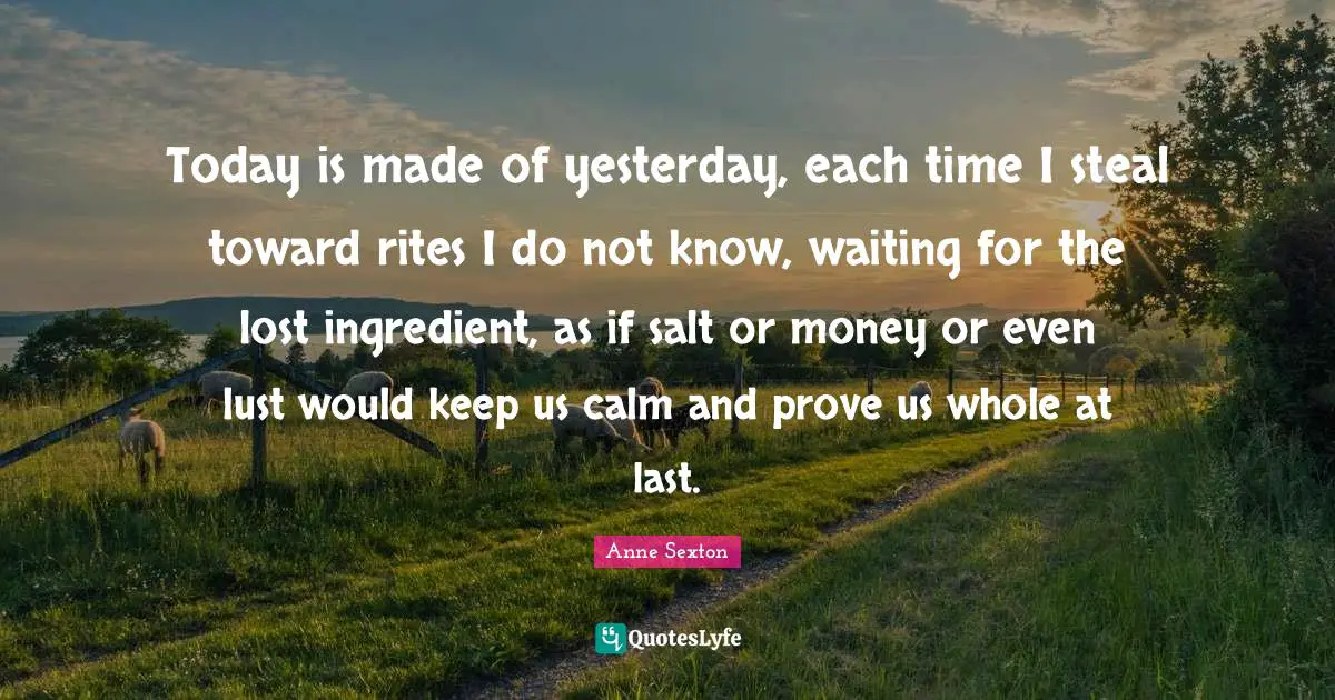Today is made of yesterday, each time I steal toward rites I do not know, waiting for the lost ingredient, as if salt or money or even lust would keep us calm and prove us whole at last.