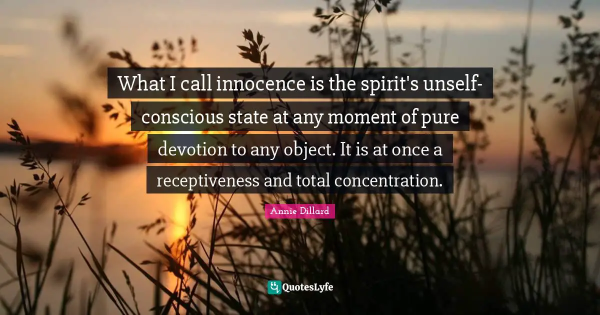 What I call innocence is the spirit's unself-conscious state at any moment of pure devotion to any object. It is at once a receptiveness and total concentration.