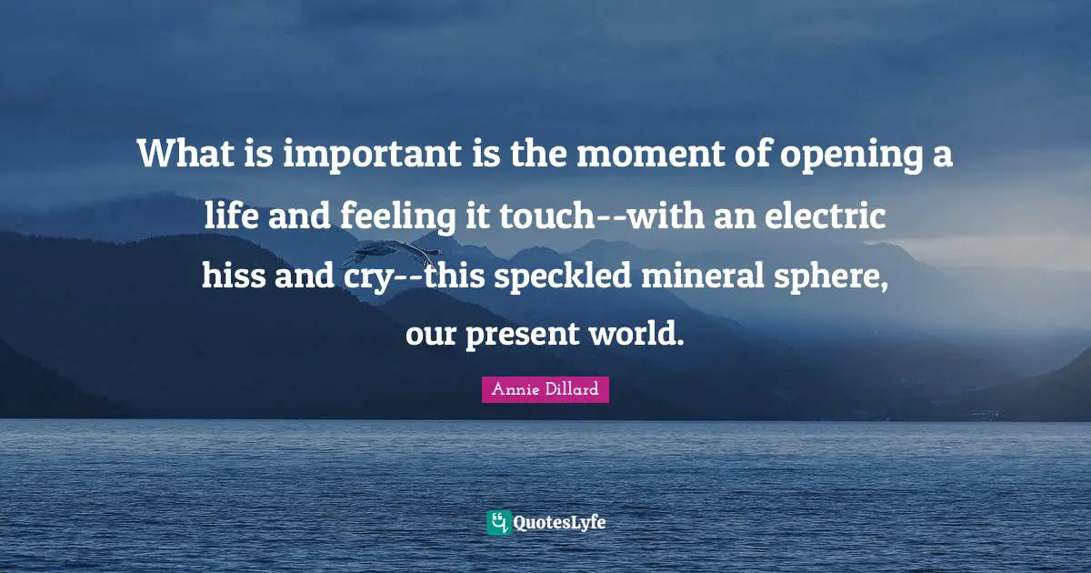 What is important is the moment of opening a life and feeling it touch--with an electric hiss and cry--this speckled mineral sphere, our present world.