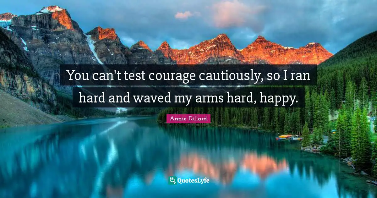 You can't test courage cautiously, so I ran hard and waved my arms hard, happy.