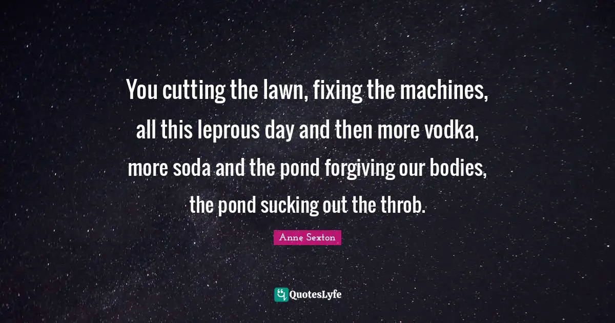 You cutting the lawn, fixing the machines, all this leprous day and then more vodka, more soda and the pond forgiving our bodies, the pond sucking out the throb.