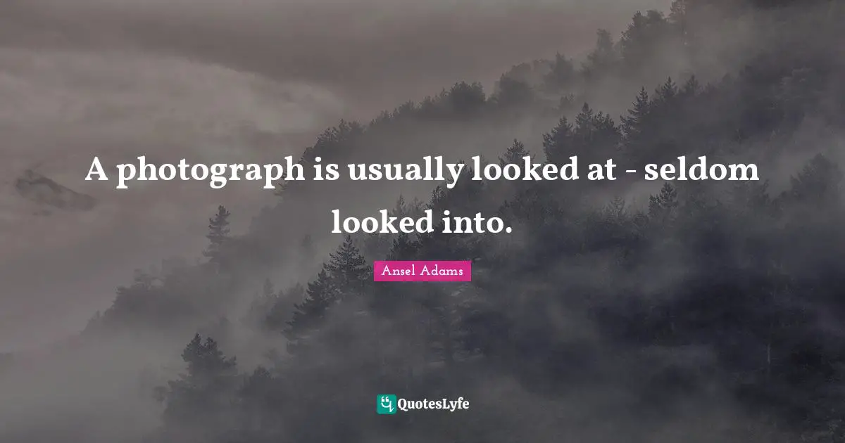A photograph is usually looked at - seldom looked into.