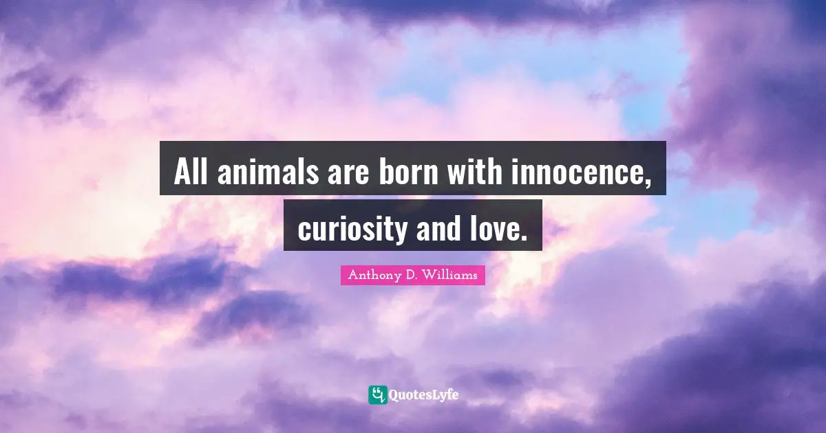 All animals are born with innocence, curiosity and love.