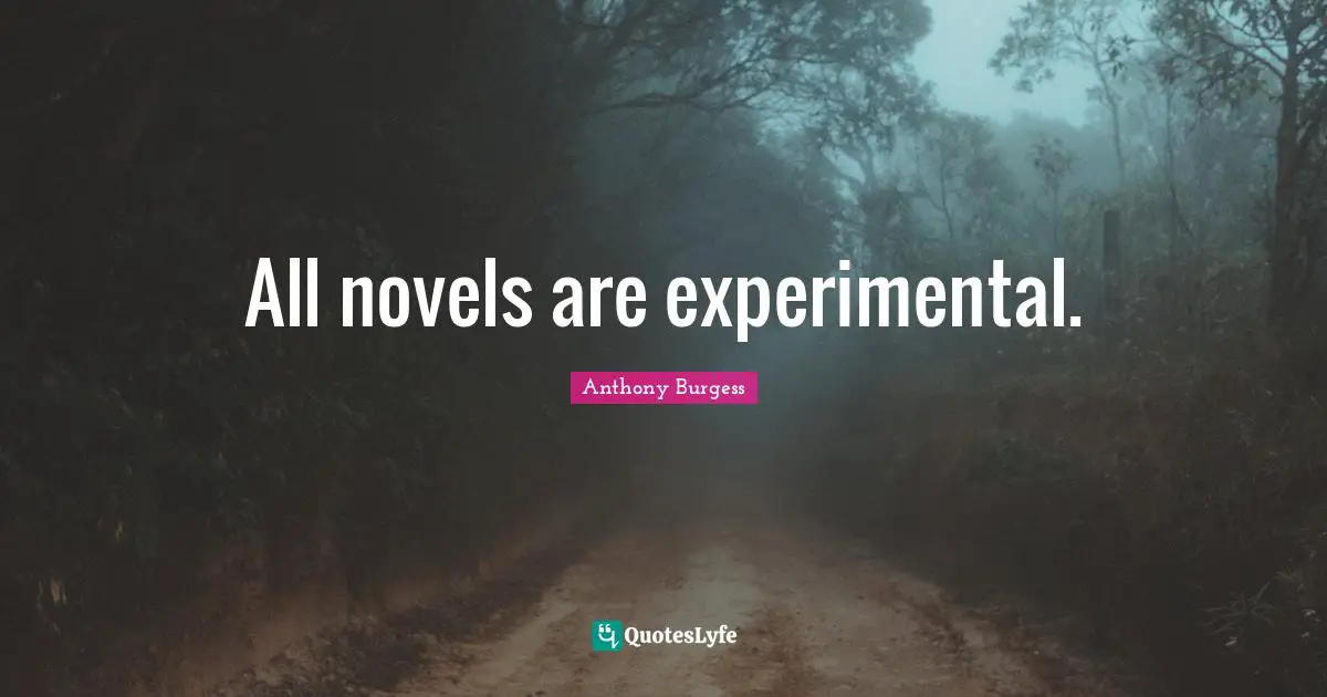 All novels are experimental.