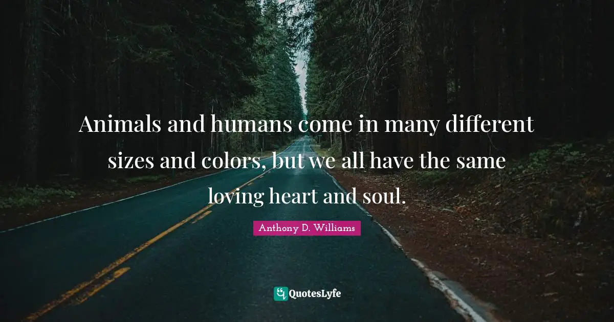 Animals and humans come in many different sizes and colors, but we all have the same loving heart and soul.