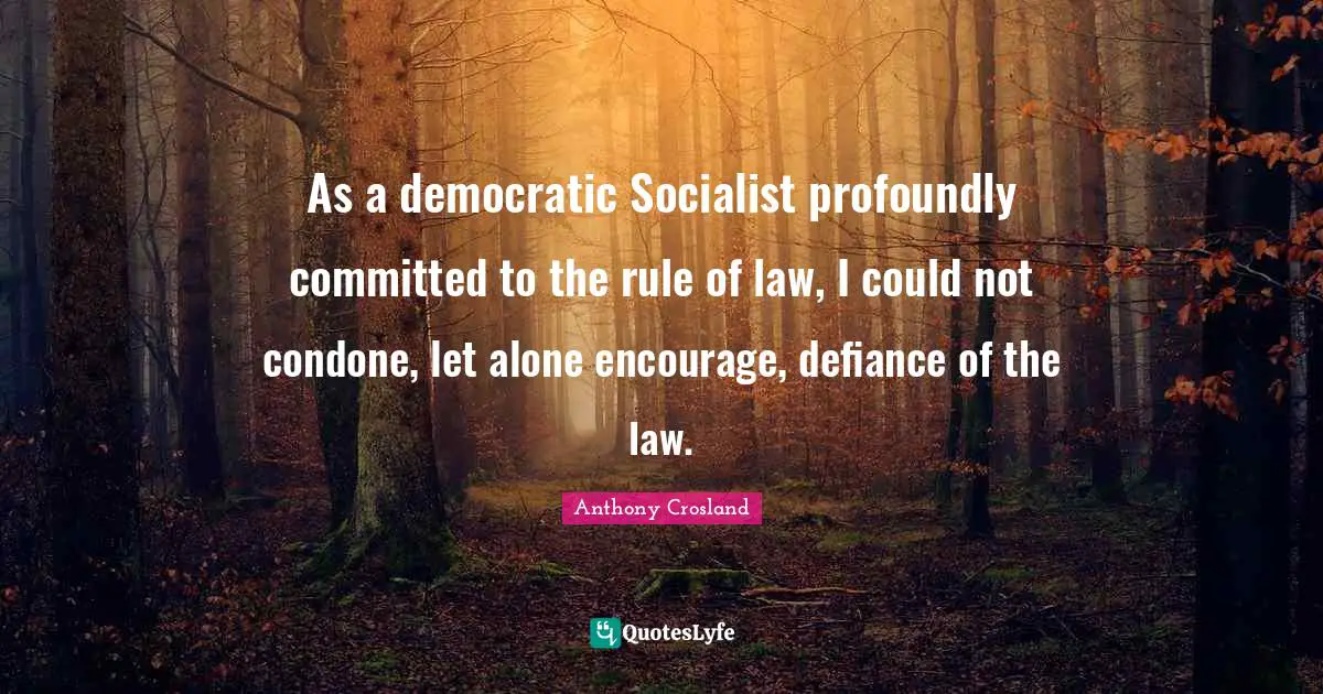 As a democratic Socialist profoundly committed to the rule of law, I could not condone, let alone encourage, defiance of the law.