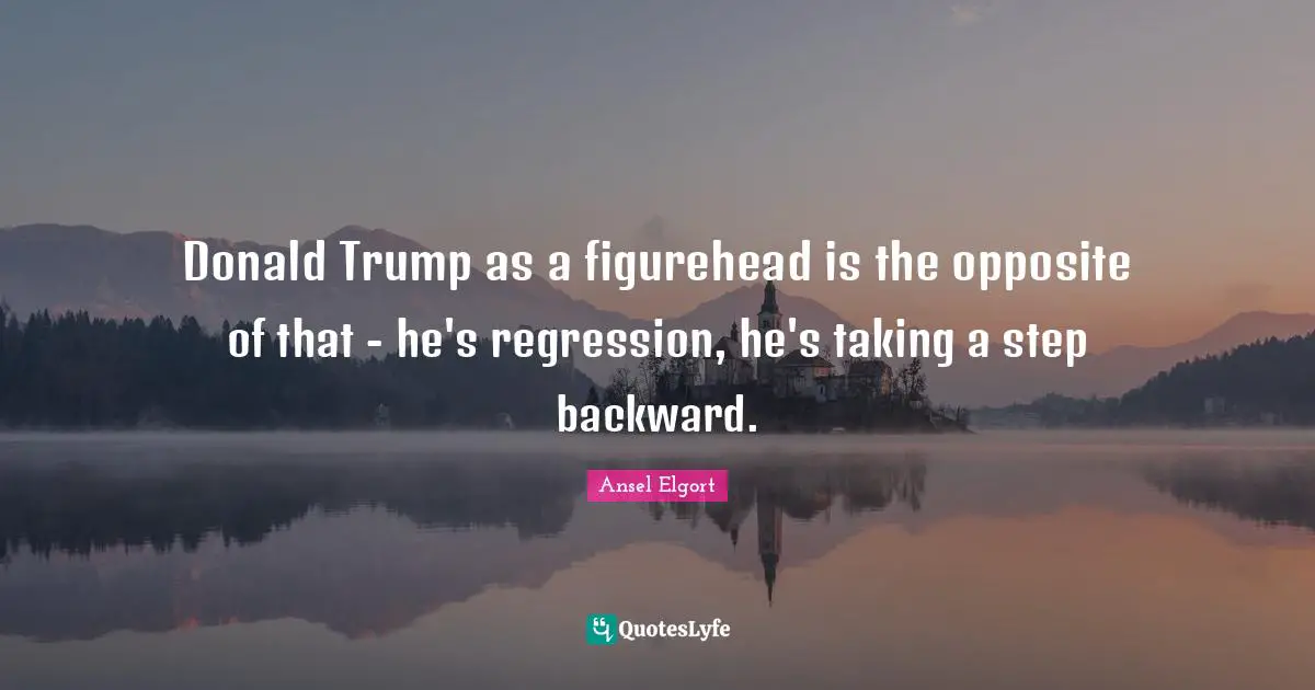 Donald Trump as a figurehead is the opposite of that - he's regression, he's taking a step backward.