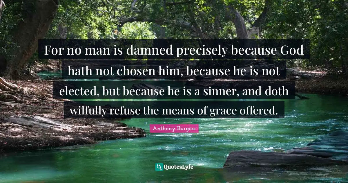 For no man is damned precisely because God hath not chosen him, because he is not elected, but because he is a sinner, and doth wilfully refuse the means of grace offered.
