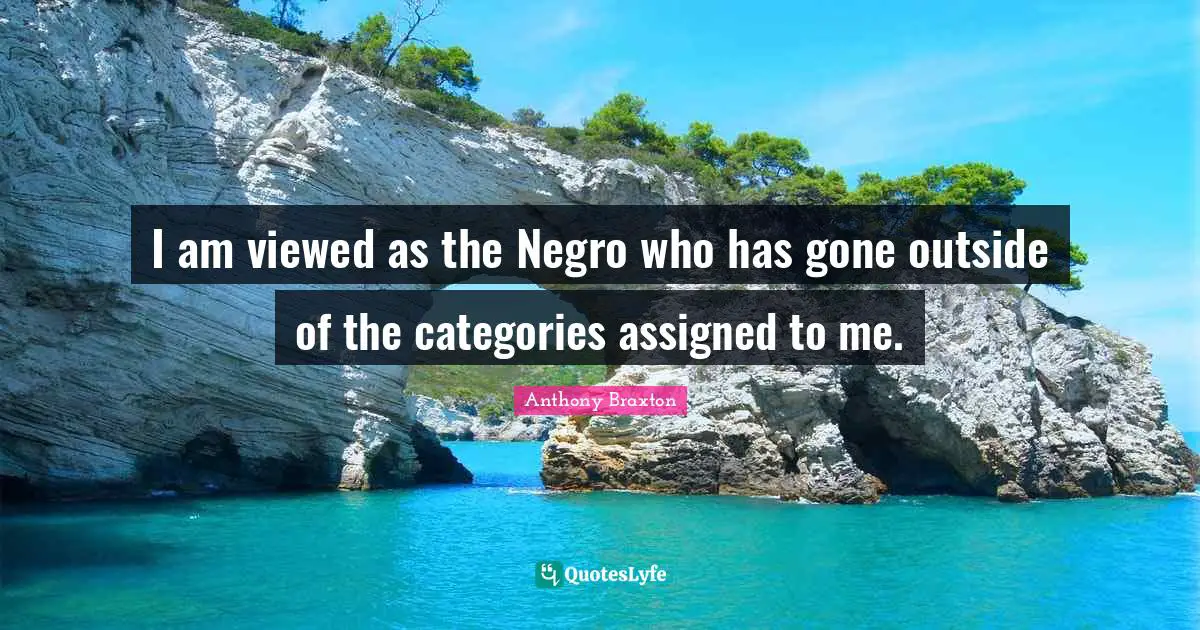 I am viewed as the Negro who has gone outside of the categories assigned to me.