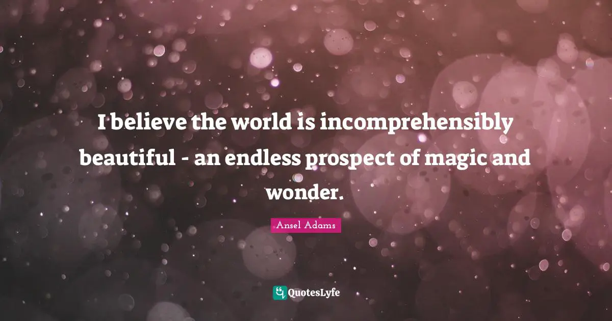 I believe the world is incomprehensibly beautiful - an endless prospect of magic and wonder.