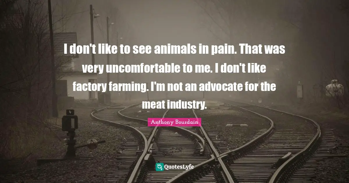 I don't like to see animals in pain. That was very uncomfortable to me. I don't like factory farming. I'm not an advocate for the meat industry.