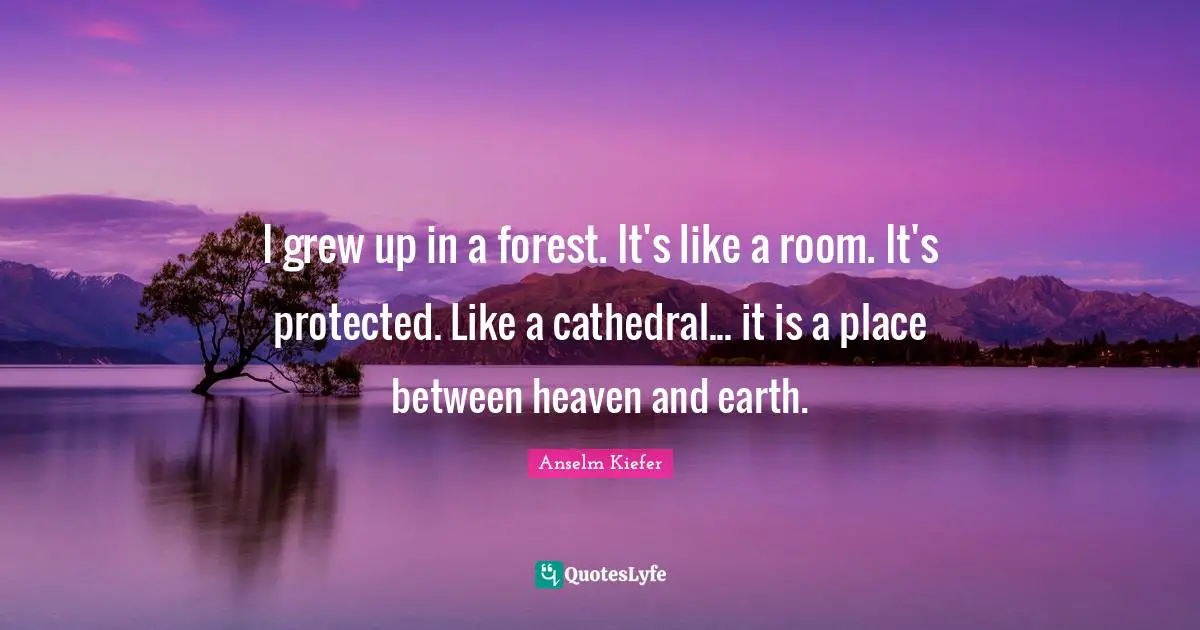 I grew up in a forest. It's like a room. It's protected. Like a cathedral... it is a place between heaven and earth.