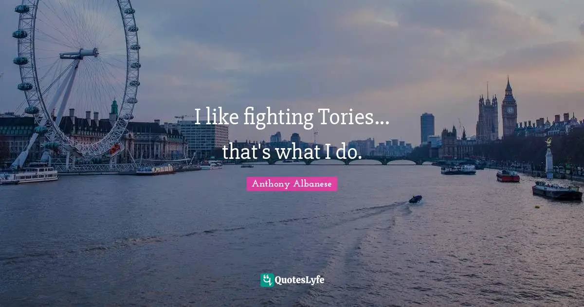 I like fighting Tories... that's what I do.