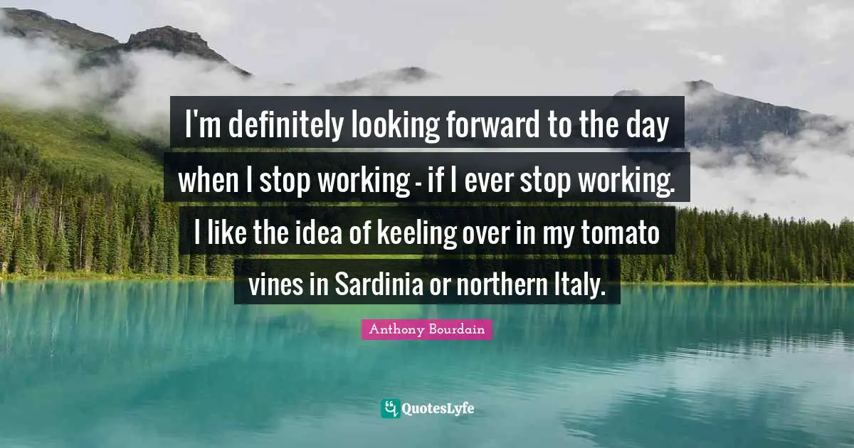 Vines Quotes: "I'm definitely looking forward to the day when I stop working - if I ever stop working. I like the idea of keeling over in my tomato vines in Sardinia or northern Italy."