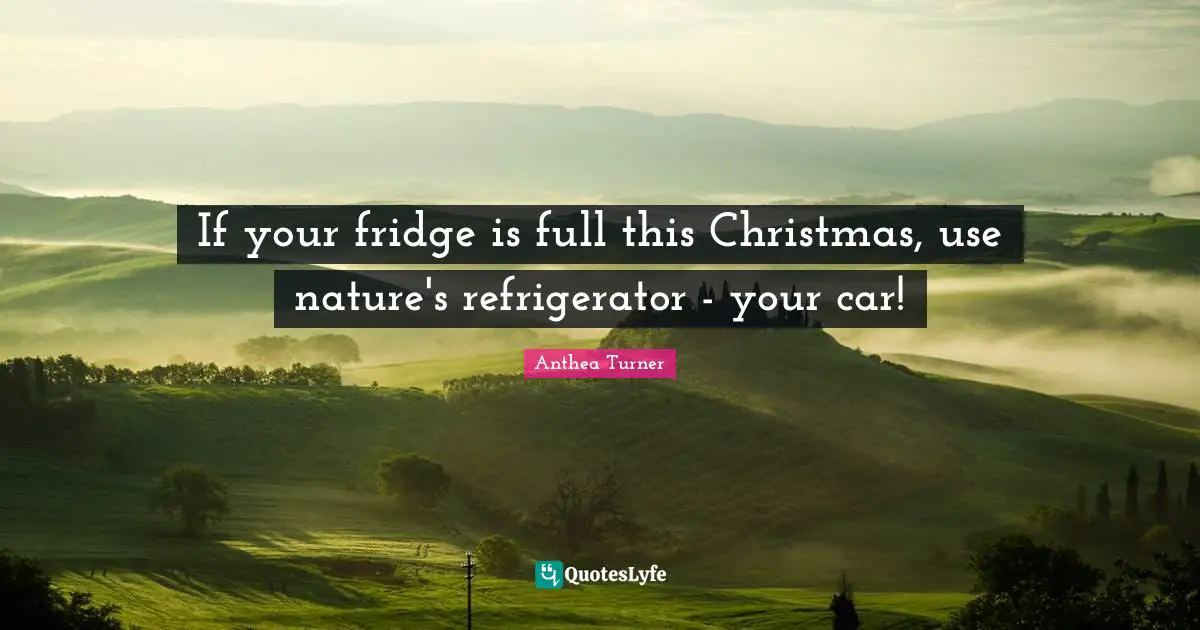 Anthea Turner Quotes: If your fridge is full this Christmas, use nature's refrigerator - your car!