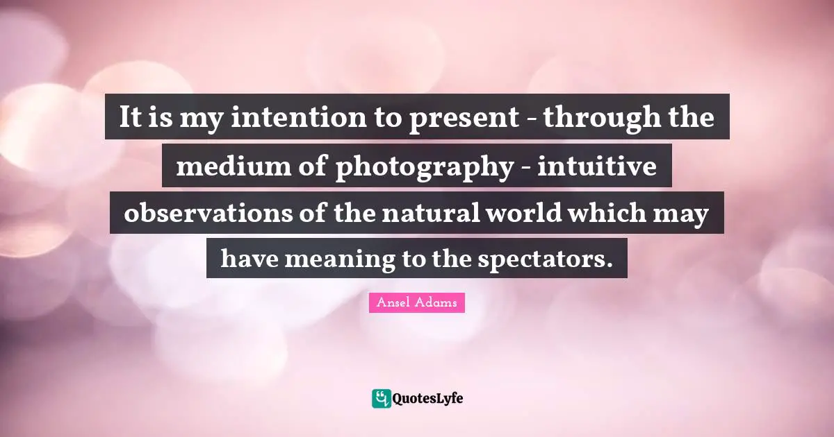 Spectators Quotes: "It is my intention to present - through the medium of photography - intuitive observations of the natural world which may have meaning to the spectators."