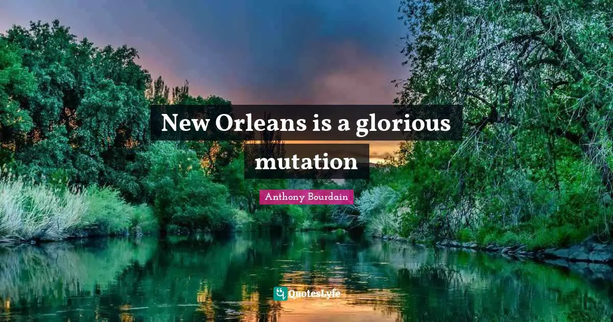 New Orleans is a glorious mutation