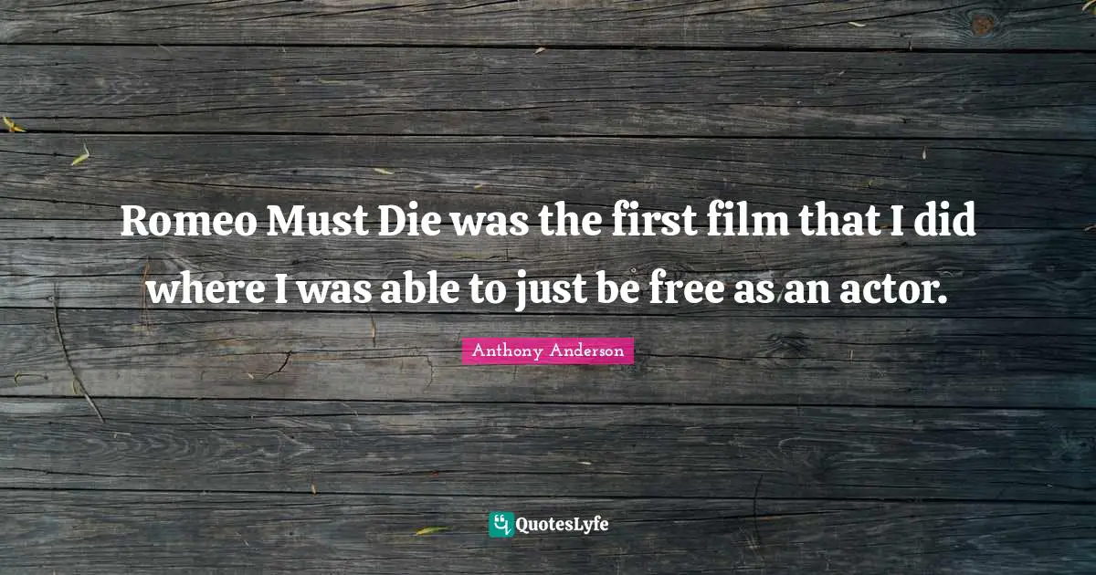 Romeo Must Die was the first film that I did where I was able to just be free as an actor.