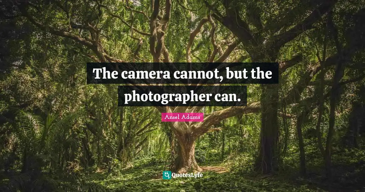 The camera cannot, but the photographer can.
