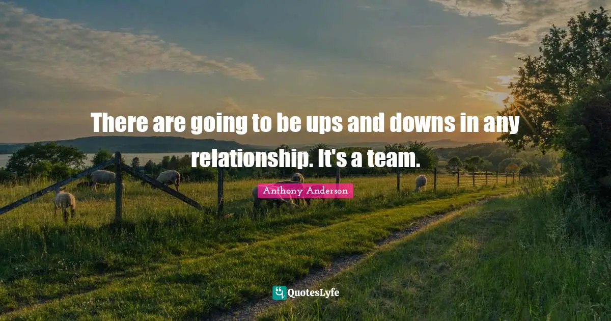 Ups Downs Quotes: "There are going to be ups and downs in any relationship. It's a team."