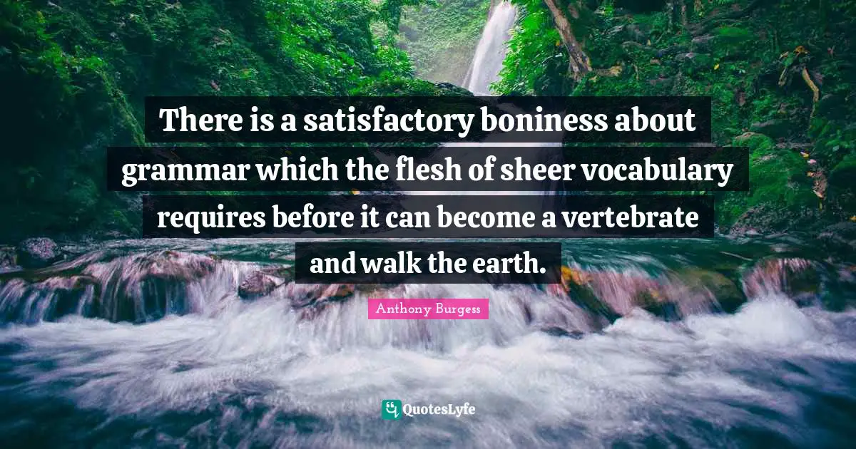 Anthony Burgess Quotes: "There is a satisfactory boniness about grammar which the flesh of sheer vocabulary requires before it can become a vertebrate and walk the earth."