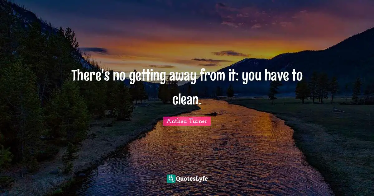 Anthea Turner Quotes: "There's no getting away from it: you have to clean."