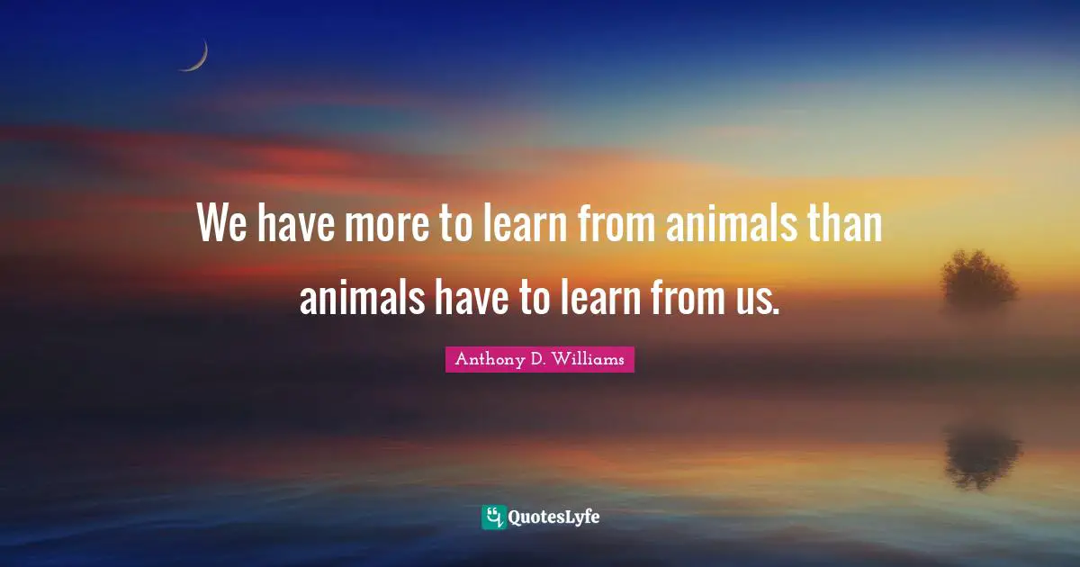 We have more to learn from animals than animals have to learn from us.