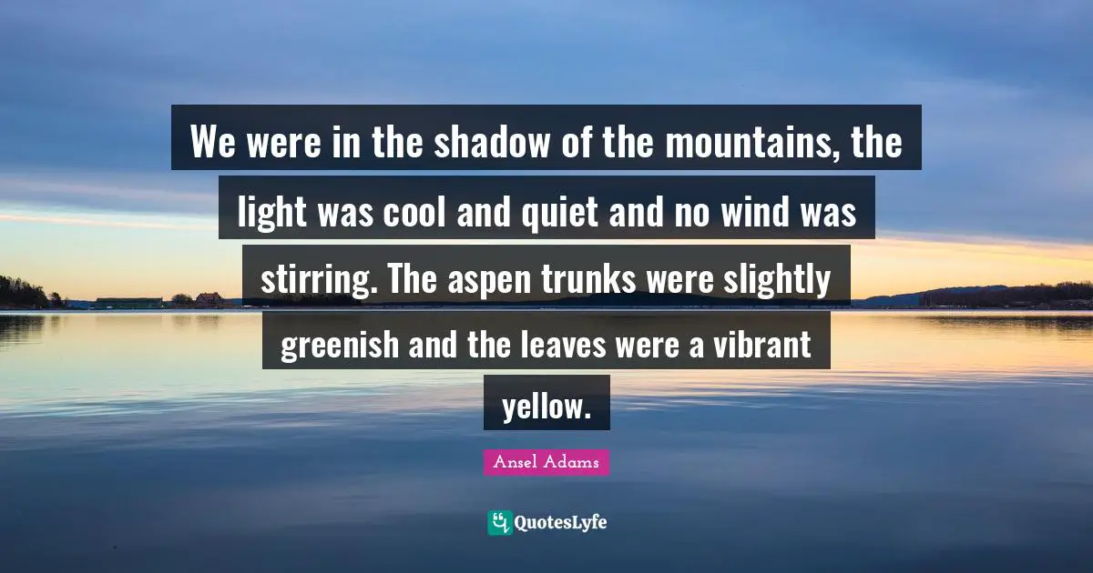 Stirring Quotes: "We were in the shadow of the mountains, the light was cool and quiet and no wind was stirring. The aspen trunks were slightly greenish and the leaves were a vibrant yellow."