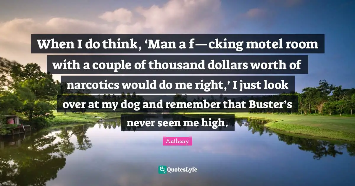 Narcotics Quotes: "When I do think, ‘Man a f—cking motel room with a couple of thousand dollars worth of narcotics would do me right,’ I just look over at my dog and remember that Buster’s never seen me high."