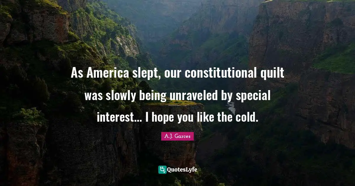 As America slept, our constitutional quilt was slowly being unraveled by special interest... I hope you like the cold.
