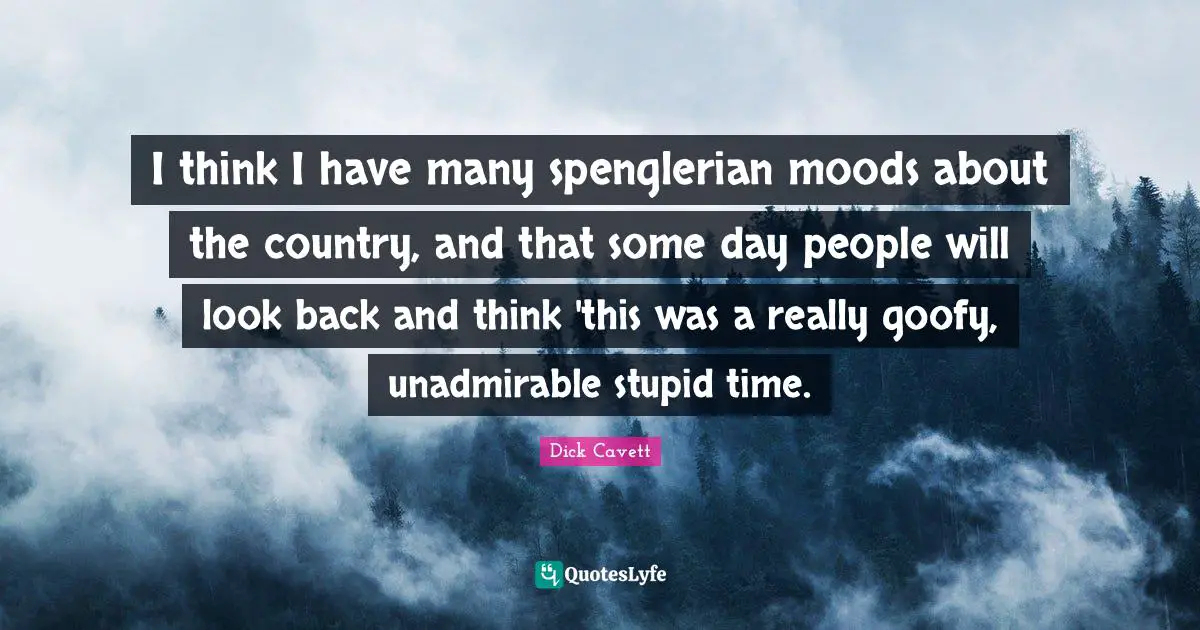 I think I have many spenglerian moods about the country, and that some day people will look back and think 'this was a really goofy, unadmirable stupid time.