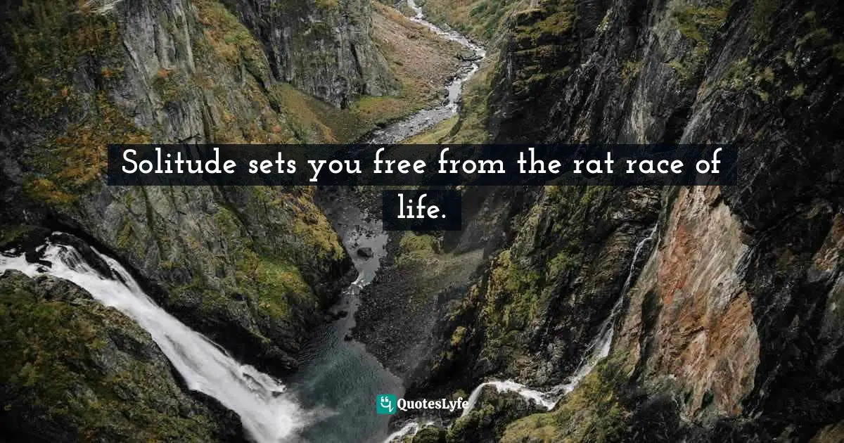 Solitude sets you free from the rat race of life.