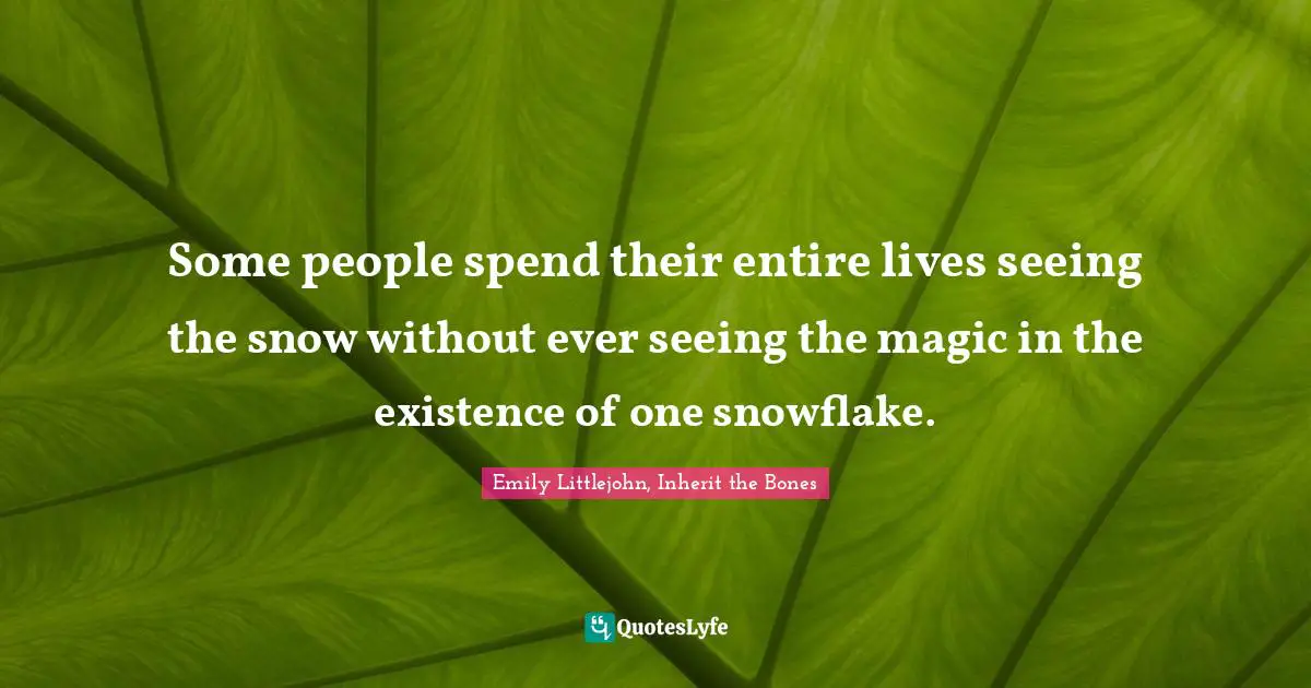 Emily Littlejohn, Inherit The Bones Quotes: "Some people spend their entire lives seeing the snow without ever seeing the magic in the existence of one snowflake."