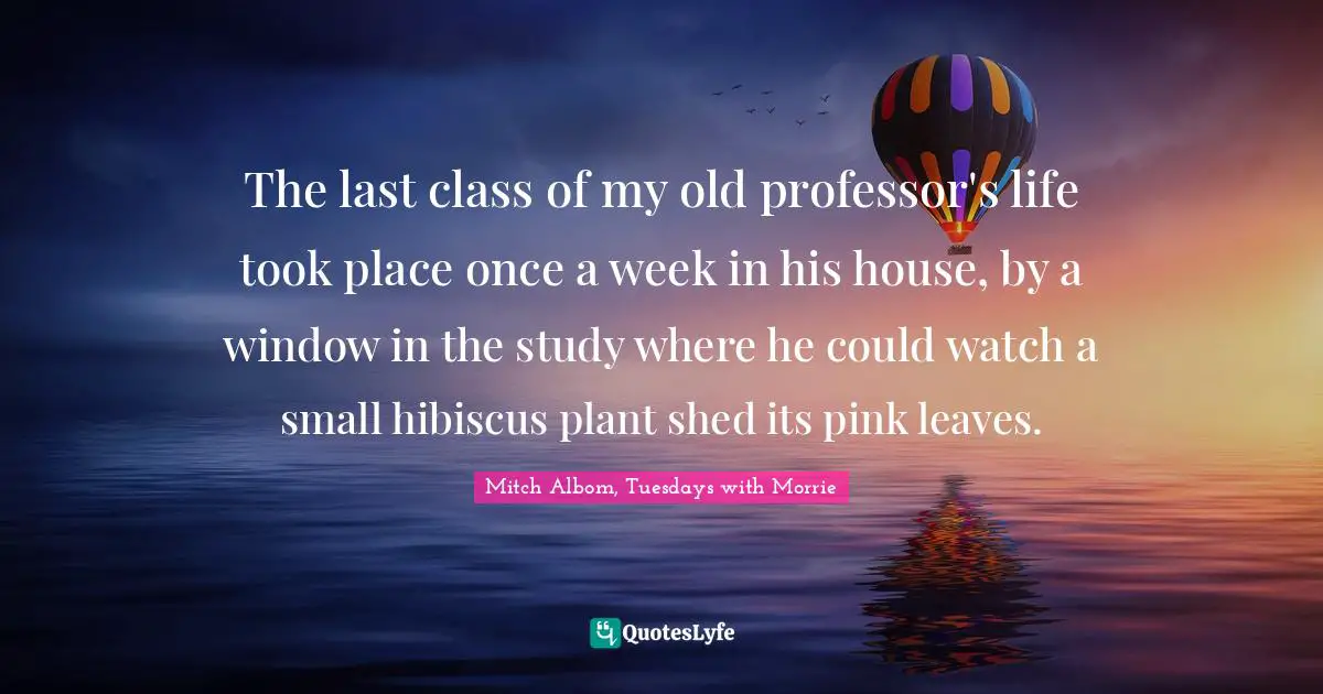 The last class of my old professor's life took place once a week in his house, by a window in the study where he could watch a small hibiscus plant shed its pink leaves.