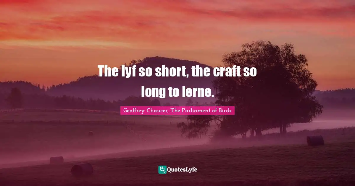The lyf so short, the craft so long to lerne.
