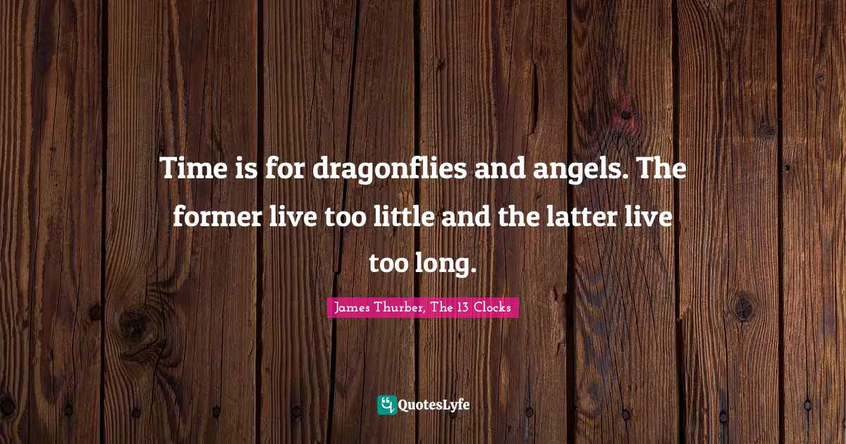 Time is for dragonflies and angels. The former live too little and the latter live too long.