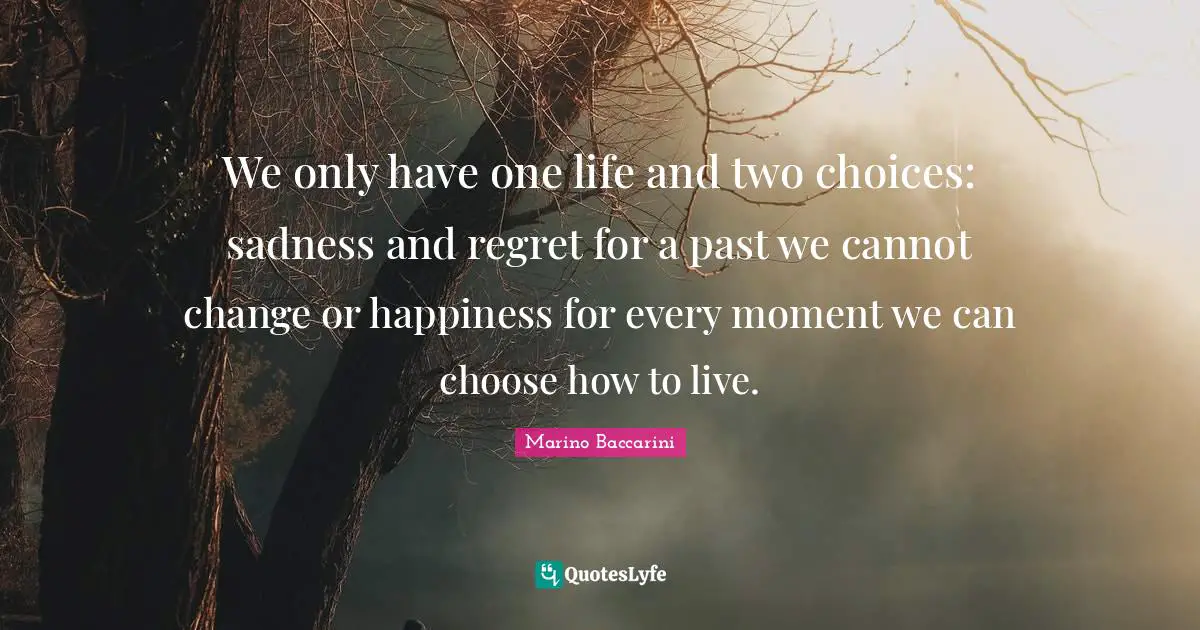 Moment By Moment Quotes: "We only have one life and two choices: sadness and regret for a past we cannot change or happiness for every moment we can choose how to live."