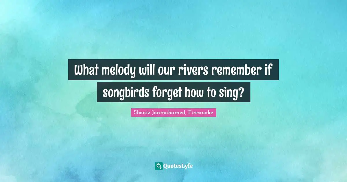 What melody will our rivers remember if songbirds forget how to sing?