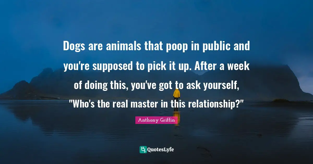 Relationship Quotes: "Dogs are animals that poop in public and you're supposed to pick it up. After a week of doing this, you've got to ask yourself, "Who's the real master in this relationship?""